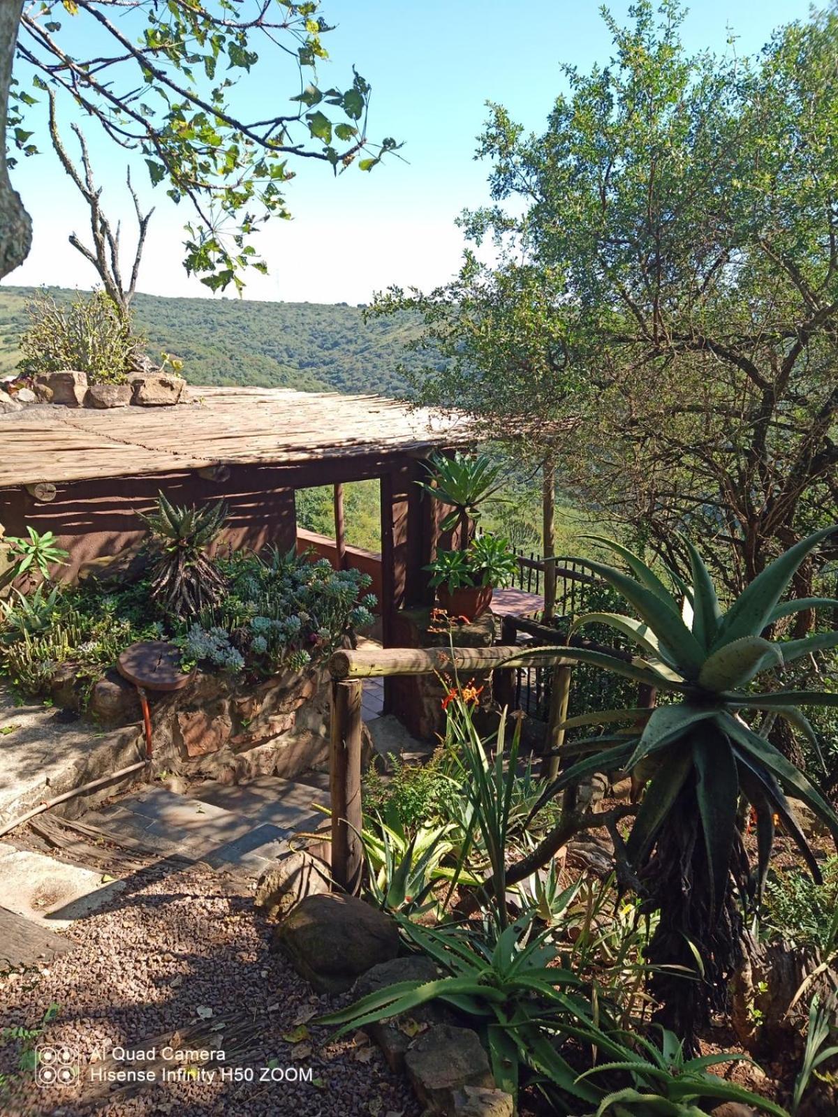 Leopards And Louries Bush Lodge Camperdown 외부 사진