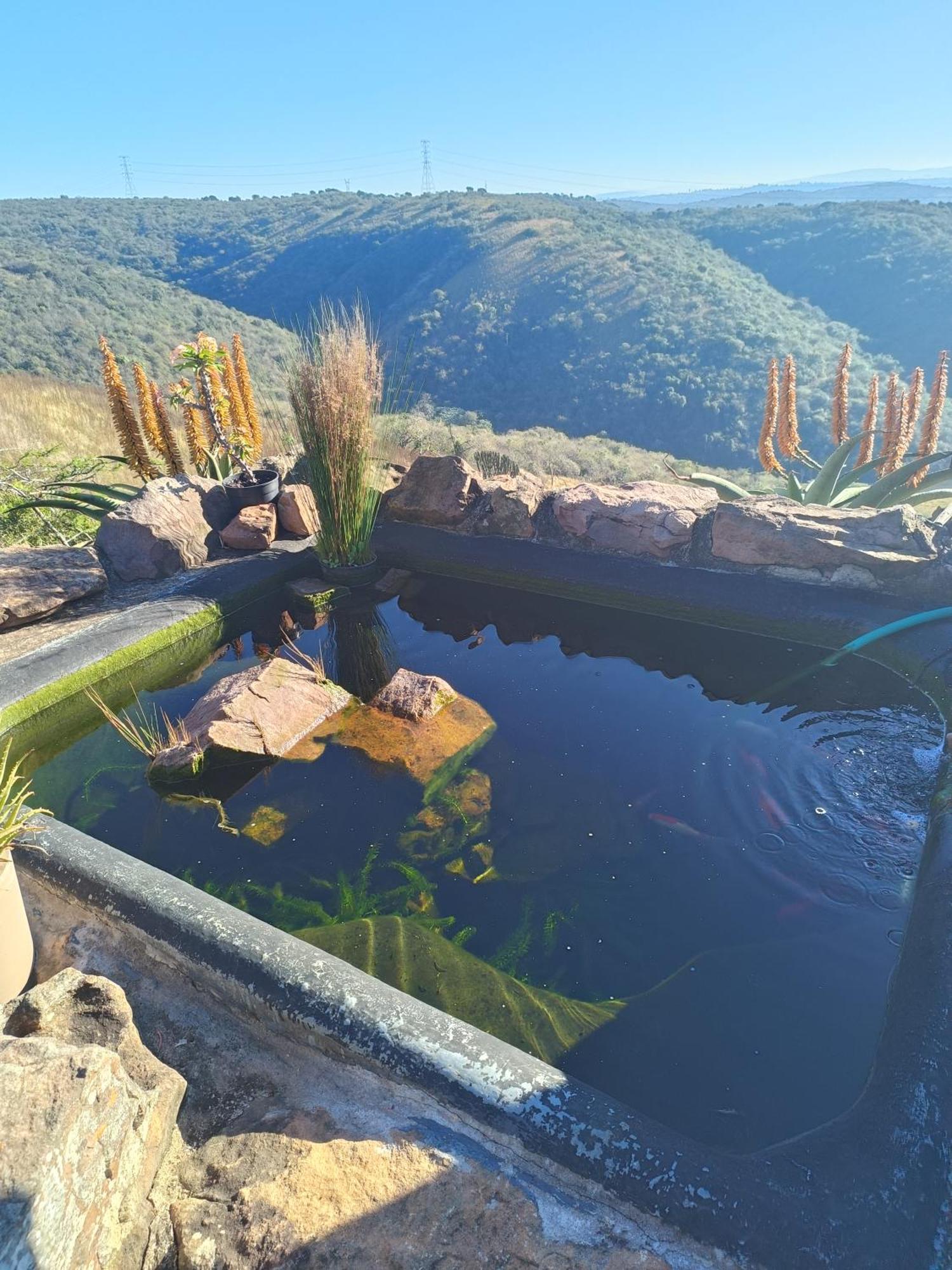 Leopards And Louries Bush Lodge Camperdown 외부 사진